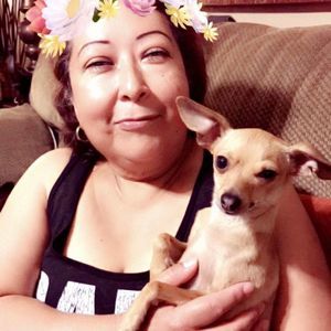 Meet your Posher, Elsa